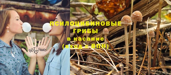 эйфоретик Заводоуковск